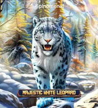 Majestic White Leopard